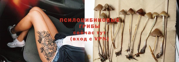 метадон Щигры
