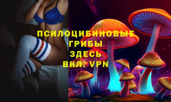 мяу мяу мука Щучье
