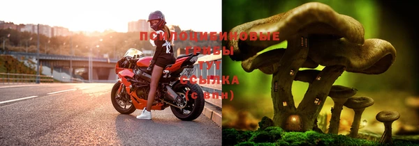 метадон Щигры